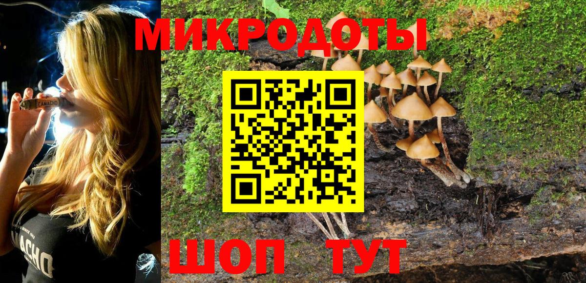 Галлюциногенные грибы мицелий Великий Новгород