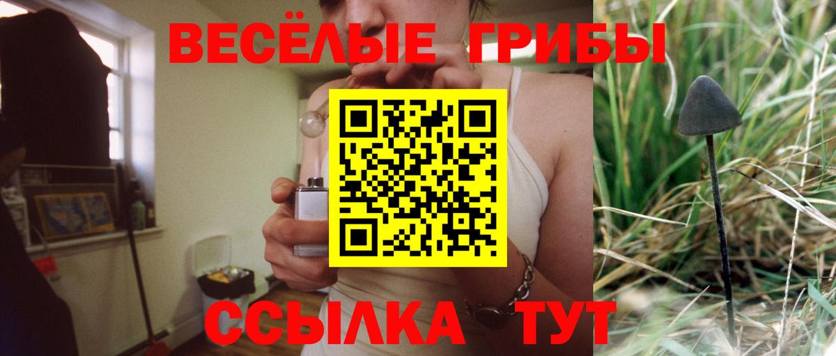Великий Новгород  Псилоцибиновые грибы MAGIC MUSHROOMS  Галлюциногенные грибы Cubensis  Вход с VPN 
