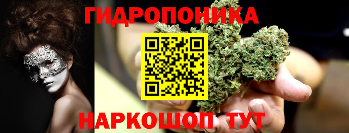 Бошки Шишки Bruce Banner Великий Новгород